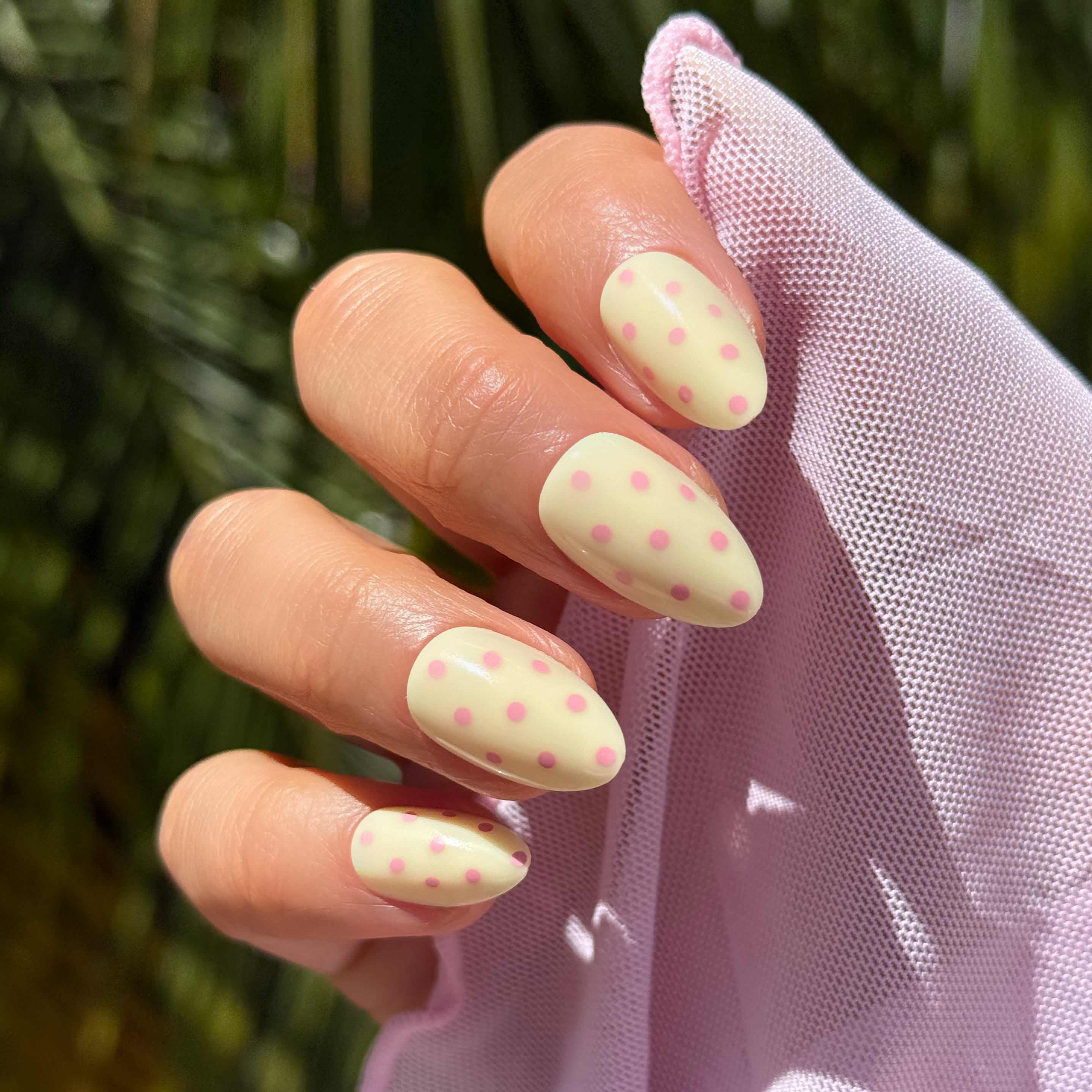 Sugar Dots